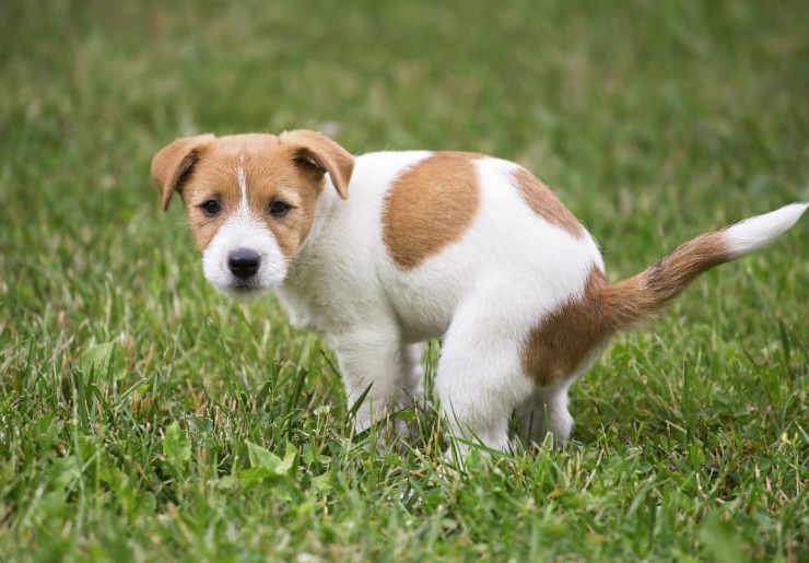 blog28