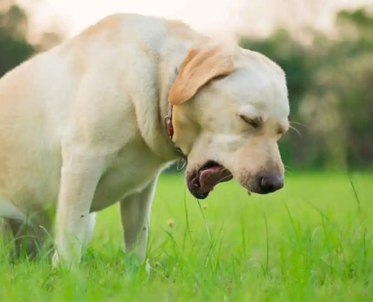 blog36