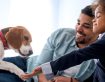 How to make your new dog feel comfortable in your home